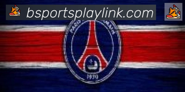 Bsports官网合作伙伴