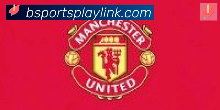 Bsports官网合作伙伴